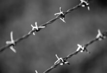 voice security division numbers